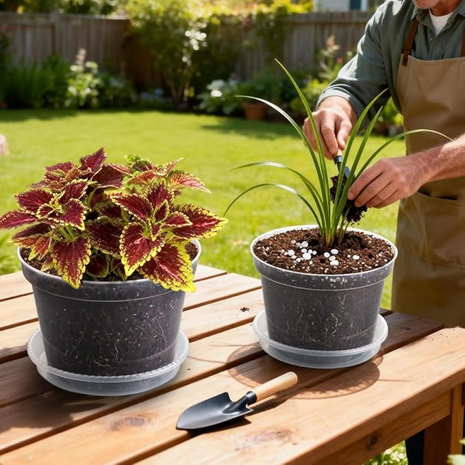 12 Pack 8 Inch Clear Plant Pots with Saucers, Transparent Plastic Nursery Pots with Drainage Hole, Sturdy Garden Planter Pots, Planting Starter Pots for Indoor Outdoor