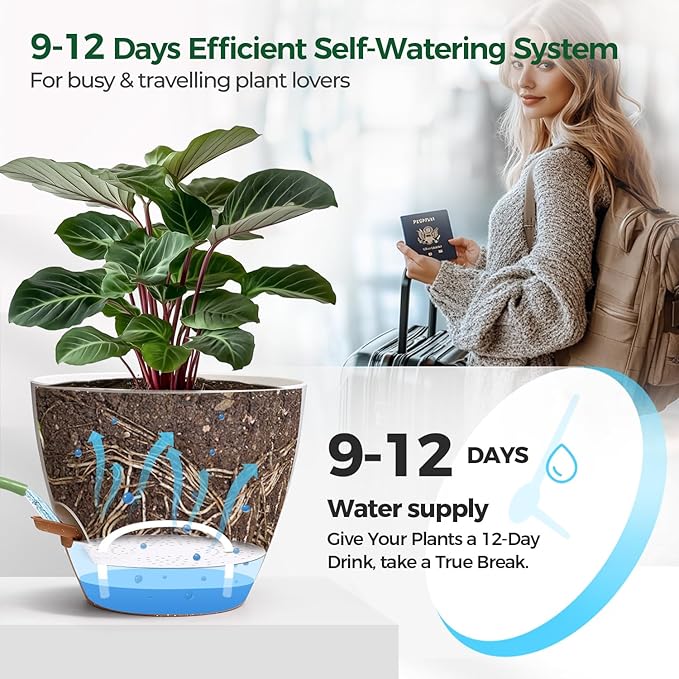 T4U 2 Pack 8 Inch Self Watering Pots - Water Level Indicator & Deep Reservoir, Mess-Free Planter for Busy People, Beginners & Gardeners, Pothos/Herbs/Snake Plants, Indoor Outdoor Use (White)