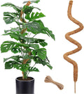 60 Inch Moss Pole for Plants Monstera, Tall Bendable Moss Poles for Climbing Plants Indoor, Large Handmade Plant Pole Sticks, Coco Coir Plant Support Stakes for Potted Plants, Pothos