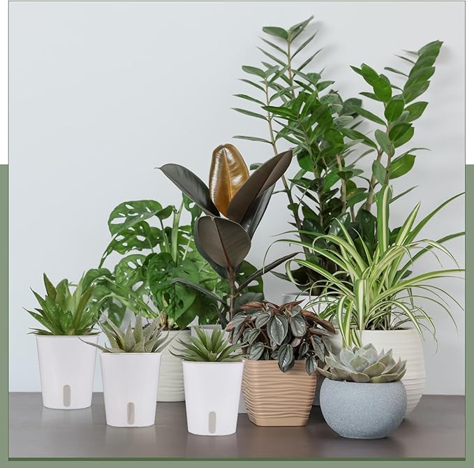 50 Pcs 3 Inch Self Watering Pots Self Watering Planters for Indoor Planters Plastic Garden Flower Pots with Level Indicator Vents for Herbs