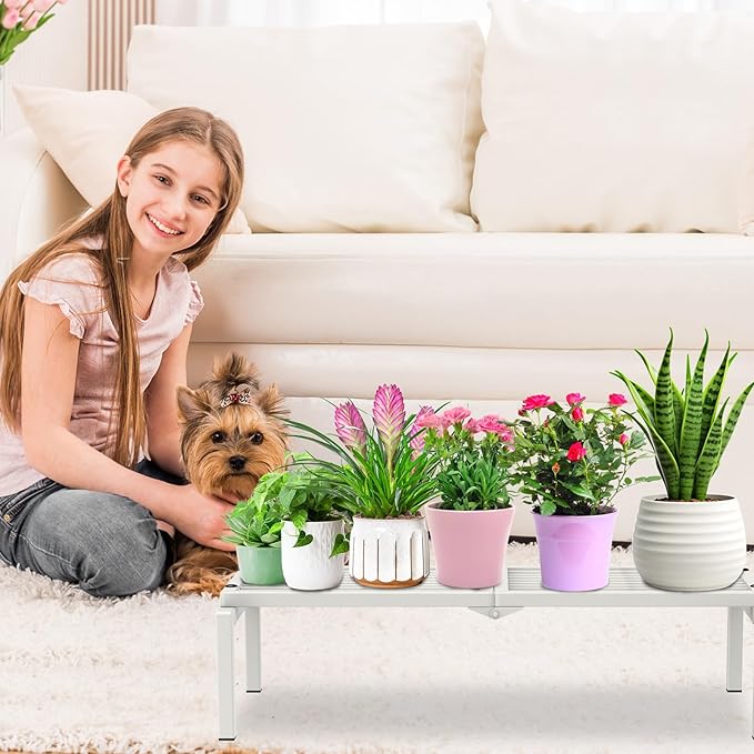 1 Tier Metal Plant Stand Indoor Outdoor, Potted Multiple Flower Pot Holder Rack Plant Shelf, Heavy Duty Planter Display Shelving for Patio Balcony Garden Living Room Decorative (White)