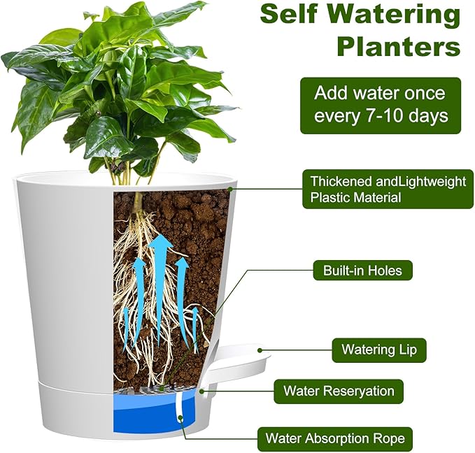 Self Watering Pots, 4 inch Flower Pots with Multi Mesh Drainage Holes, Small Platic Planters for Indoor Outdoor Garden Plants and Flowers (White, 4")