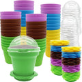 PURPLE STAR 1N 50 Packs Cupcake Plant Nursery Pots with Humidity Dome- Planting Containers Cups- Small Flower Pots for Indoor Outdoor Plant Succulent Vegetable (Mixed Color)