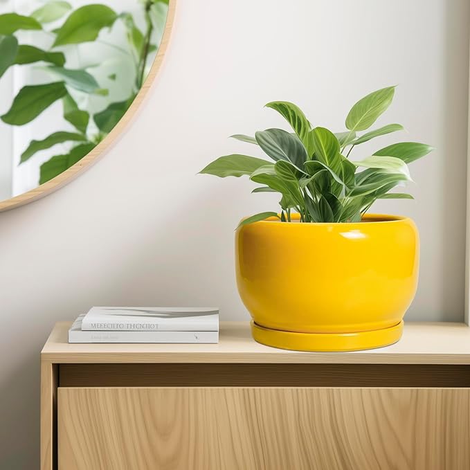 SQOWL 10 Inch Plant Pot - Ceramic Planter with Drainage Hole and Saucer, Modern Large Flower Pot for Indoor Outdoor Plants, Decorative Round Planter, Home Decor, Gifts for Gardeners Woman, Yellow