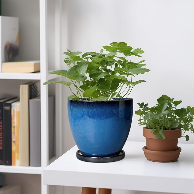 Ceramic Planters for Indoor Plants - 6.3 Inch Plant Pot with Drainage Hole and Saucer Round Modern Planter Home Garden Patio Decor Blue