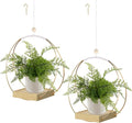 Hanging Planter for Indoor Plants, Plant Hanger with Sturdy Wood Base,Modern Boho Macrame Plant Hanger,Wall Ceiling Window Stands(Plants/Pots Not Included)