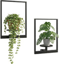 2 Pack Plant Stand Indoor Outdoor Hanging Planters for Indoor Plants Wall Plant Holder for Indoor Plants Plant Frames Wall Decor for Livingroom Bedroom Balcony Patio