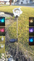 Solar Garden Stake Lights with Color Changing LED or Regular White LED Landscape Path Lights (Set of 2) (Pig)