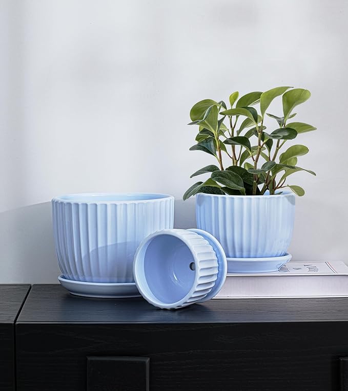 Ton Sin Sky Blue Ceramic Flower Pots, 4"+5"+6" Inch Small Succulent Planters with Drainage Hole,Modern Indoor Decorative Plant Pots Set of 3,Garden Pots with Saucer(Blue)