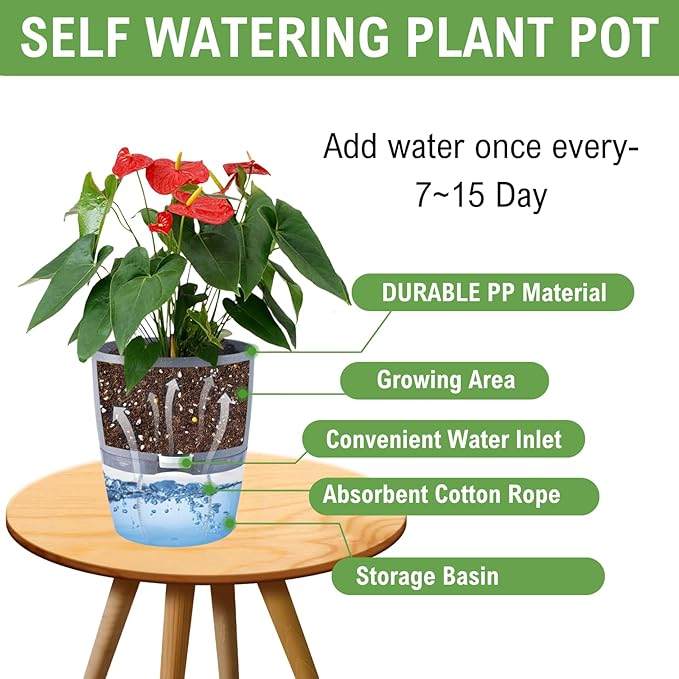 6Inch Self Watering Planter Pots 4 Pack Plant Pot for Indoor Wicking Flower Pots Plant Pots Modern Decorative Planter for Small African Violets House Plants,Herbs,Indoor Outdoor Plant (White)