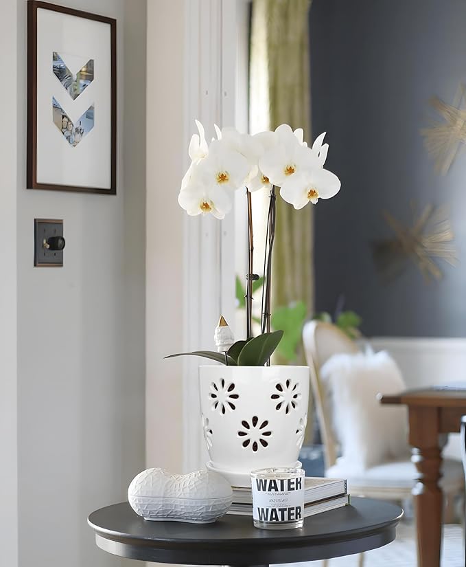 Oairse 6 inch Orchid Pots with Holes, White Ceramic Orchid Pot for Repotting Small Indoor Plant Pots with Drainage Holes and Saucers Decorative Flower Planter for Orchids, Indoor Plant