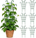 6PCS Plant Support Stakes, Stackable Plant Trellis for Indoor Climbing Plants, Small Plastic Support for Pothos & Hoya Houseplants Flower Plant Support, Potted Plant Trellis for Houseplants