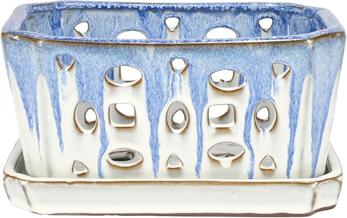 W&W Orchid Pot with Holes and Saucer for Repotting, Blue and White, 9.7 Inch