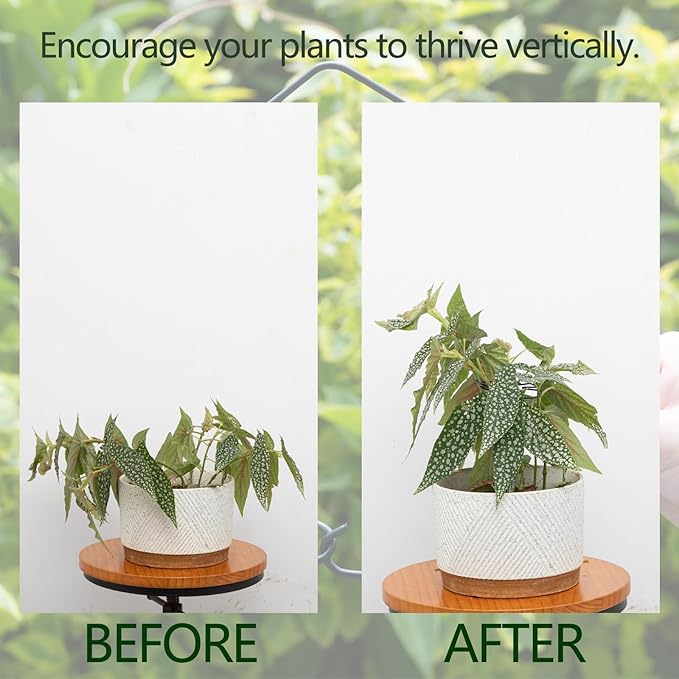 Monstera Plant Stem Support Set - 5pcs 4.13x2.95 inches Durable Supports for Indoor Climbing Plants - Easy-to-Use Stabilizers for Healthy Growth and Elegant Garden Decor