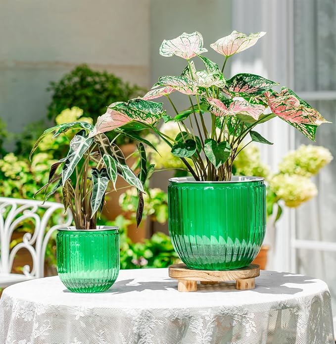 Melphoe Self Watering Pots for Indoor Plants Planter, 8.3/5.3 Inch 2 Pack Planters Self Watering Plant Pots for Flower, Houseplants, Succulent, African Violets and Cactus with Drainage