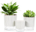 Self Watering Pots for Indoor Plants, 6 & 5 & 4 Inch Stylish Flower Pots, Set of 3 Modern Planters with Self-Watering Feature (Black Stripes)