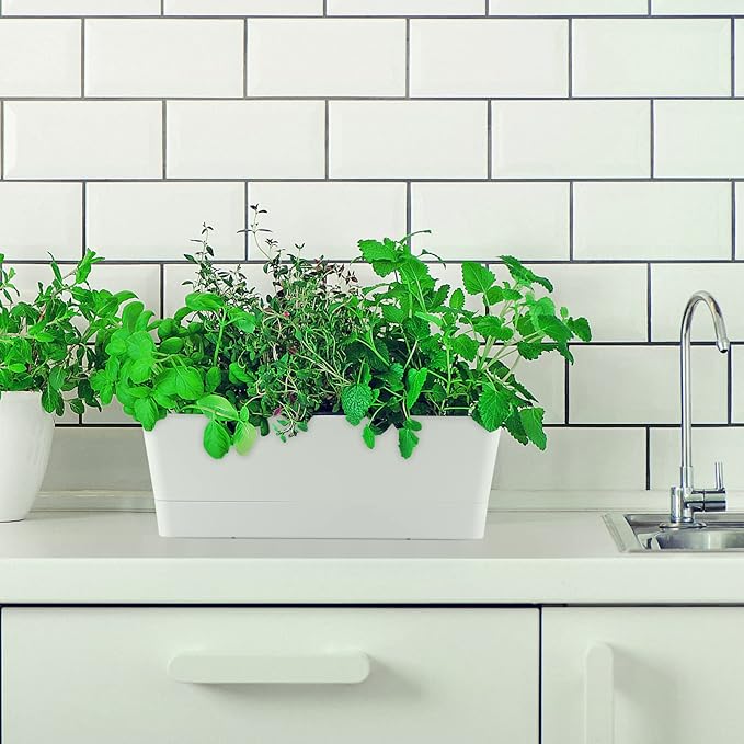 Skelang 3 Pcs Rectangular Plant Pot, 12" Flower Planter Box, Windowsill Container for Succulent, Herb, Vegetable (White)