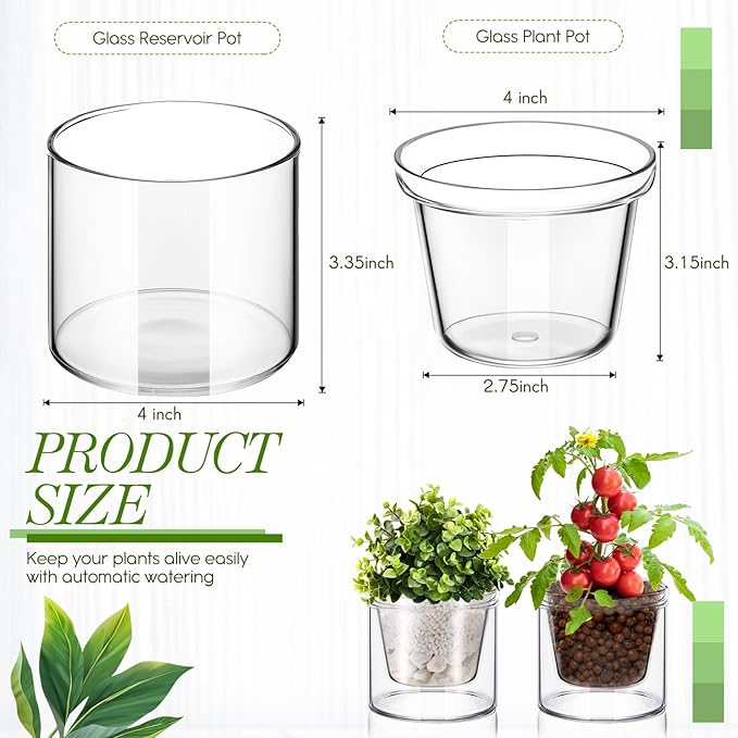 Baderke 2 Pcs 4 Inch Self Watering Pot for Indoor Plants Clear Glass Planter Small Plant Pot with Saucer Reservoir Drainage Holes Bottom Watering Pot for African Violet Orchid Flowers Houseplant