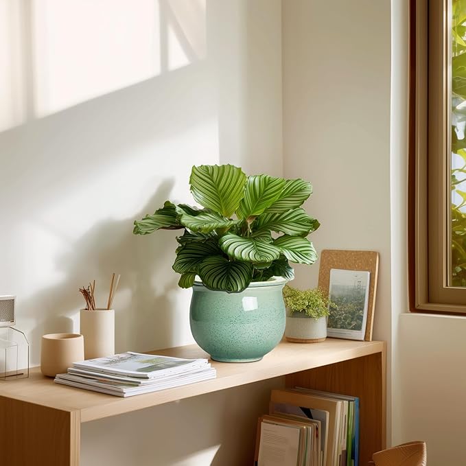 Ceramic Self Watering Pots, 6 Inch African Violet Pots with Absorbent Inner Pot, Round Self Watering Planter for Indoor Plants, Ceramic Pot for Plants, House Decor, Gifts for Women Men, Green