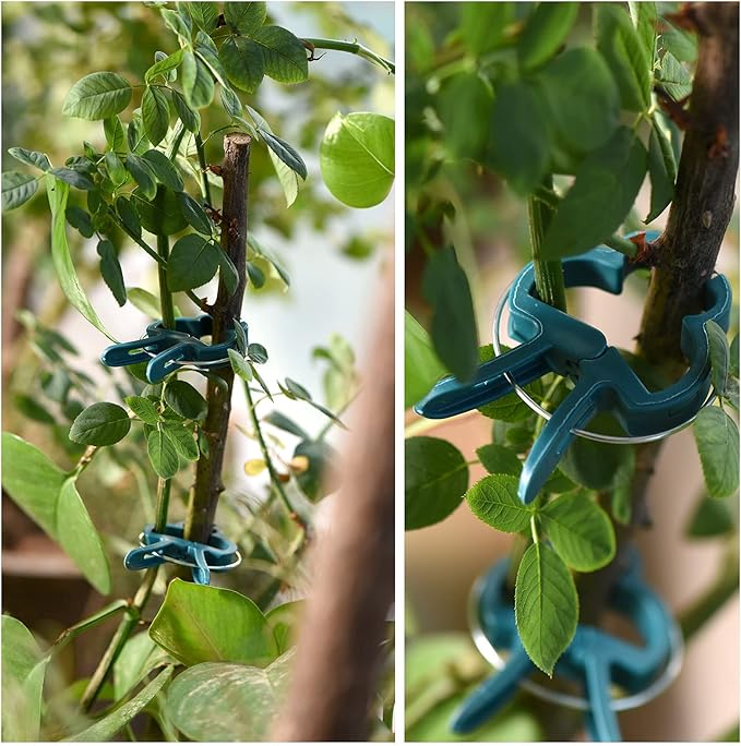 Plant Support Clips, 120 PCS Gentle Flower Plant Clamps for Supporting Vine Climbing Plants, Gardening Lever Loop Gripper Clips Help Stems Vines Grow Straight Upright, 2 Sizes in one Pack