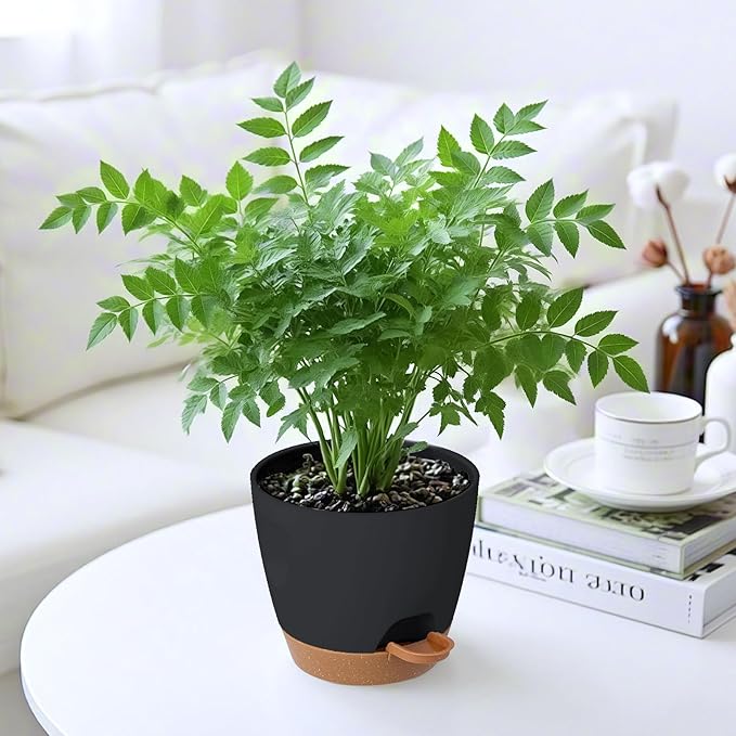 6-Pack Plant Pots with Drainage 7 Inch, Self Watering Pots for Indoor Plants, Planters for Indoor Outdoor Plants, Plastic Flower Pot, Planter for Indoor Outdoor (Black)