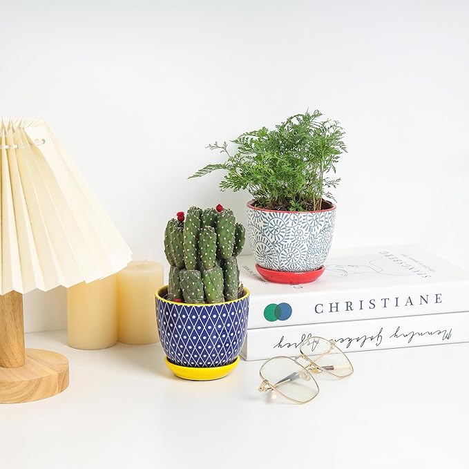 Selamica Ceramic Succulent Pots, 4.6 Inch Small Plant Pots with Drainage Holes & Saucers, Succulent Planters for Indoor Plants Cactus, Home Decor, Set of 6, Assorted Colors