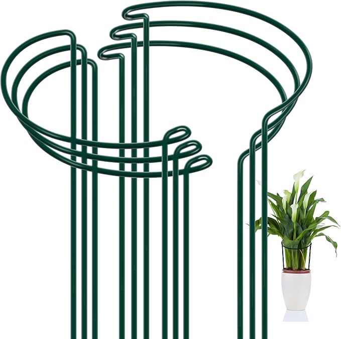 FEED GARDEN 6 Pack Plant Support Stakes, Peony Cages and Supports, Metal Garden Plant Stake(10" Wide x 16" High) Green Half Round Plant Support Rings for Outdoor Indoor Plants, Tomato, Hydrangea