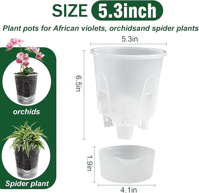 Cdd's Path Upgraded 5-Pack 6 Inch Naked Root Planter Self Watering Pots Set, Plant Pots with Holes for Indoor/Outdoor Plants with Watering Hole/Reservoir and Air Pipes, Clear