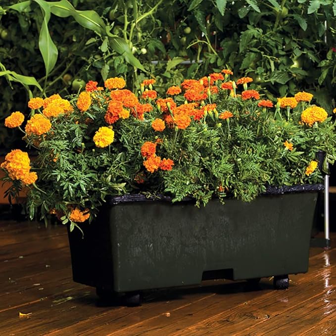 EarthBox 80151 Garden Kit, Organic, Green