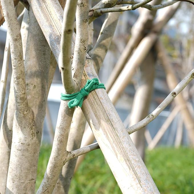 Decoroca Degradable Soft Green Garden Twine - 98FT Environmentally Smart Plant Ties, Stretchable Plant Wire, Multi-use Craft String (2 Pack)
