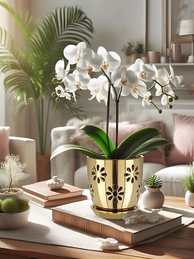 Oairse 6 inch Orchid Pots with Holes, Gold Ceramic Orchid Pot for Repotting Small Indoor Plant Pots with Drainage Holes and Saucers Decorative Flower Planter for Orchids, Indoor Plant