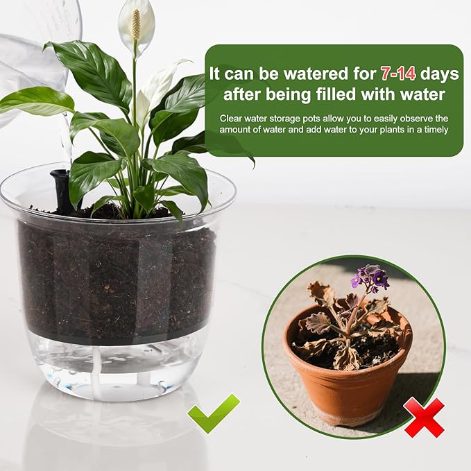 Self Watering Pots, 3 Pack 6.5/5/4 Inch Clear Plant Pot Self Watering Planter Flowers Pot with Deep Reservoir for Indoor Plants (3 Medium)
