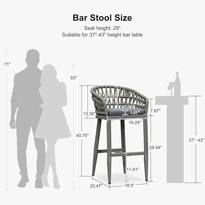 PURPLE LEAF Outdoor Rattan 29" Bar Stools Set of 2, Modern Boho Aluminum Patio Bar Height Chair with Cushion and Back for Garden Outdoor and Indoor, Smoke Grey