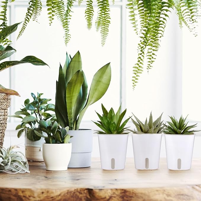 30 Pcs 3 Inch Self Watering Pots Self Watering Planters for Indoor Planters Plastic Garden Flower Pots with Level Indicator Vents for Herbs