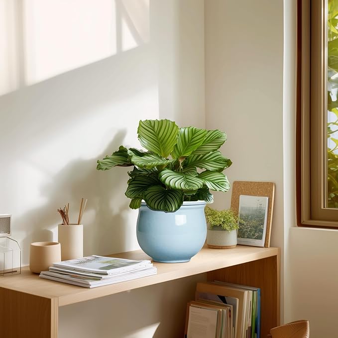 Ceramic African Violet Pots for Indoor Plants, 6 Inch Self Watering Planters with Absorbent Inner Pot, Self Watering Plant Pot, Ceramic Flower Pots, Desk Decor, Housewarming Gifts, Light Blue