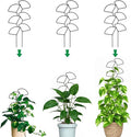 Plant Trellis for Climbing Plants Indoor Outdoor, Trlzey 3 Pack Stackable Metal Trellis - Small Garden Trellis for Potted Plants, Vine Support for Ivy, Flowers, DIY Home Deco