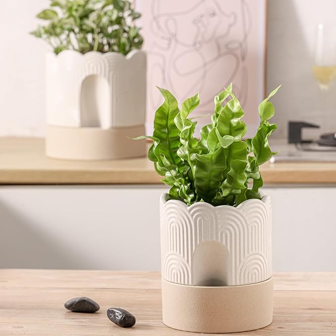 Nihow Self Watering Plant Pot for Indoor Plants : 6 Inch & 8 Inch Ceramic Planter with Drainage Hole & Water Storage - Relief Design Beige & Nature Flower Pot -Set of 2