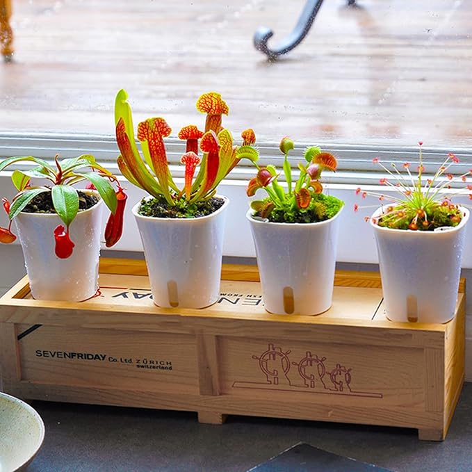 3" Self Watering Pots,20 Sets Self Watering Planter Pots for Indoor Plants with Water Level Indicator and Multiple Vents,Self Watering Planters,Self Watering Plant Pot for House Plants,Flowers,Herbs
