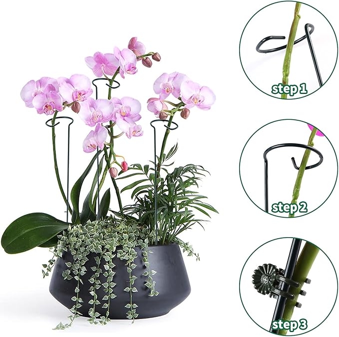 12 Pack Plant Support Stakes with 24 Pcs Plant Clips, Garden Single Stem Support Stake, Plant Cage Support Ring for Indoor Outdoor Flowers Rose Amaryllis Tomatoes Peony Lily Orchid (24 Inch)