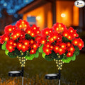 2 Pcs Solar Geraniums Lights Outdoor Waterproof for Garden Spring Decor Light with 10 Solar Geraniums Light for Outside Stake Decorative Auto On/Off for Garden Yard Backyard Patio
