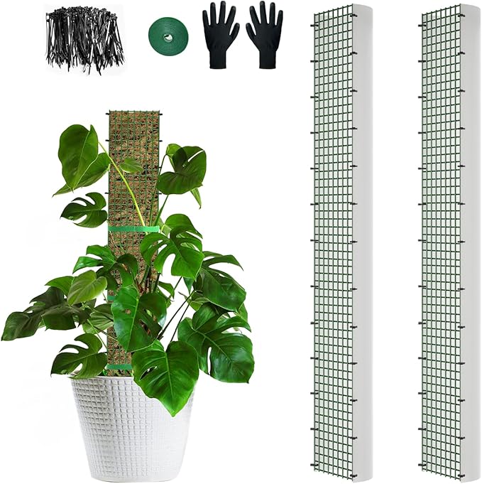 40" Metal Moss Pole, D Shape Sphagnum Moss Pole, Moss Poles for Climbing Plants, Monstera, Indoor Climbing Plants (2Pcs 40")