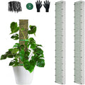 40" Metal Moss Pole, D Shape Sphagnum Moss Pole, Moss Poles for Climbing Plants, Monstera, Indoor Climbing Plants (2Pcs 40")