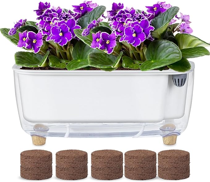 Self Watering Planter with Coco Coir Pellets, 11.8 Inch Plastic Rectangular Windowsill Plant Pot with Drainage Holes, High Clear Modern Decorative Flower Pot for Indoor Plants, African Violets