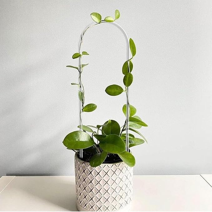2 Pack Thickened U-Shaped Acrylic Trellis for Indoor & Outdoor Plants, Perfect for Potted Houseplants