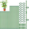Plant Stakes, 20 Pcs Plant Sticks Stakes Support, Garden Stake Pole with Clips, Adjustable Plant Support with 20 Rings and 10 Connectors for Indoor and Outdoor Plants