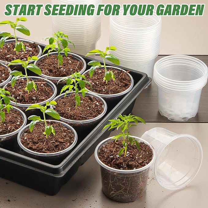 Clear Seedling pots 20 Pack 3.2 Inches Round for Seeds Starter Pots, Seeds Germination Transparent Clean Pots with Drainage Holes(Clear,20 Pcs, 3.14Inch)…