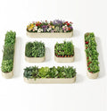 6-Pack 18” Tall Galvanized Raised Garden Beds – New Home Garden Layout, Fits 300 Sq Ft Backyard, 10x2x1.5 & 4x4x1.5 ft Metal Planter Raised Beds Set for Vegetable, Herb & Flower - Sand Beige