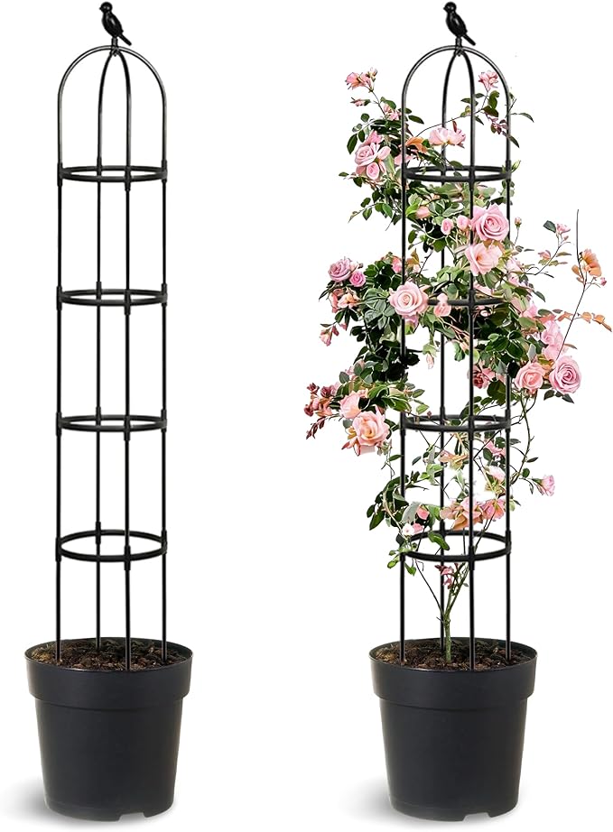 2 Pack Trellis for Climbing Planting Outdoor, 6ft Plant Trellis-Rustproof Metal Pipe with Heavy Duty Plastic Coated, Potted Plant Support for Clematis Vine Jasmine Support