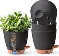 T4U 6 Inch Self Watering Pots for Indoor Plants - Mess-Free Bottom Watering Planter for Herbs/Pothos/Succulent Plants, Indoor Outdoor Use (Black, 4 Pack)