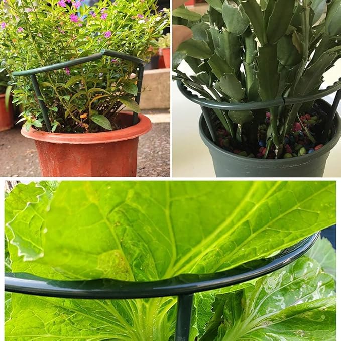Mwellewm 10 Pack Plant Support Plant Stakes Metal Half Round Search Support Ring Small Plastic Cage Holder Short Stem Flower Pot Climbing Trellis for House Flower Vegetable Indoor Leafy(5.7 x 9.8inch)
